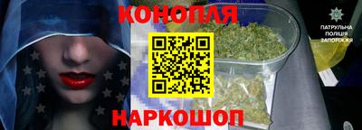 прущие грибы Нягань