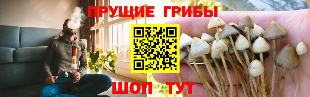 Сокол  Галлюциногенные грибы мицелий  где можно купить   Вход с VPN 
